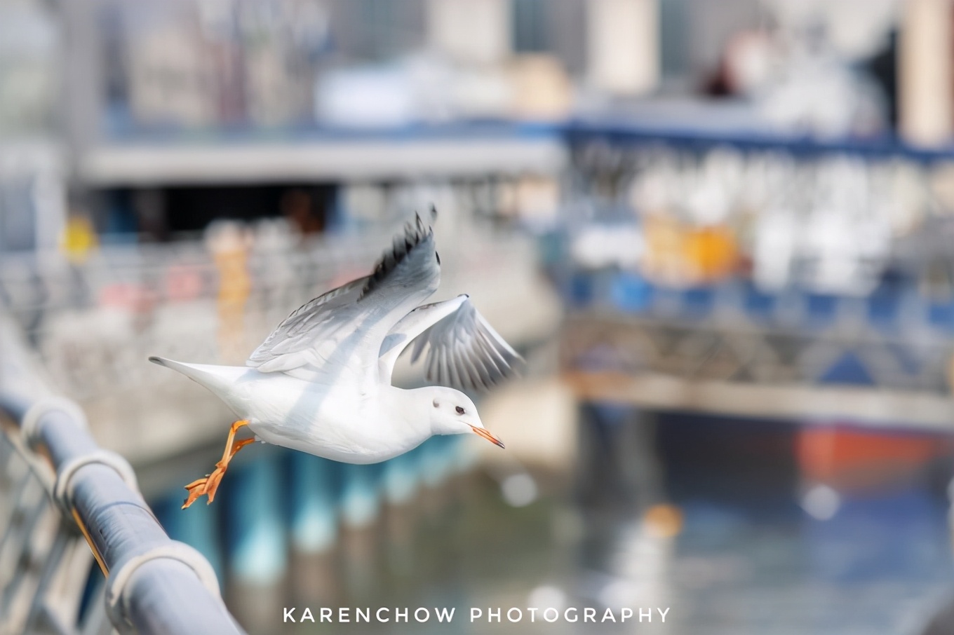 閲滃北濂界帺涓庡ソ鍚冪殑鍦版柟,閲滃北鏃呮父缇庨