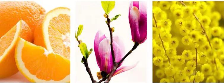 撩死人的香水推荐,十大撩汉香水推荐