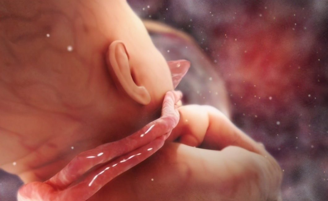 虚拟怀孕,虚拟恋爱生子游戏