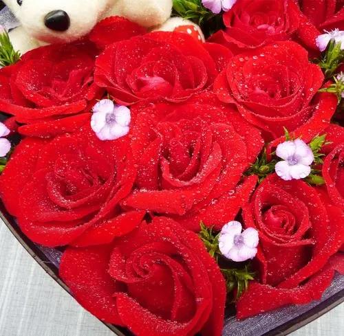 闺蜜送哪些色调的玫瑰较为好一点,什么颜色玫瑰适合送闺蜜