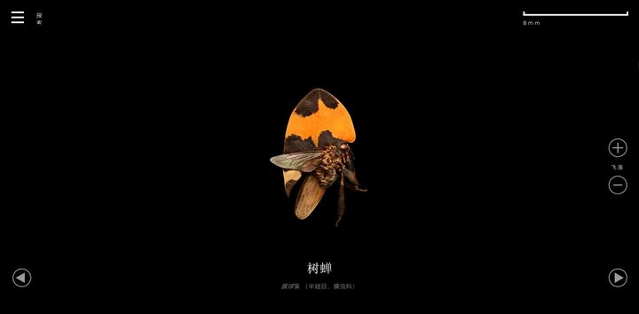 超实用的五大必备网站有哪些,10个良心实用网站推荐终身受用