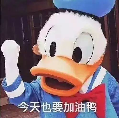 优居客,优居客跑路后续