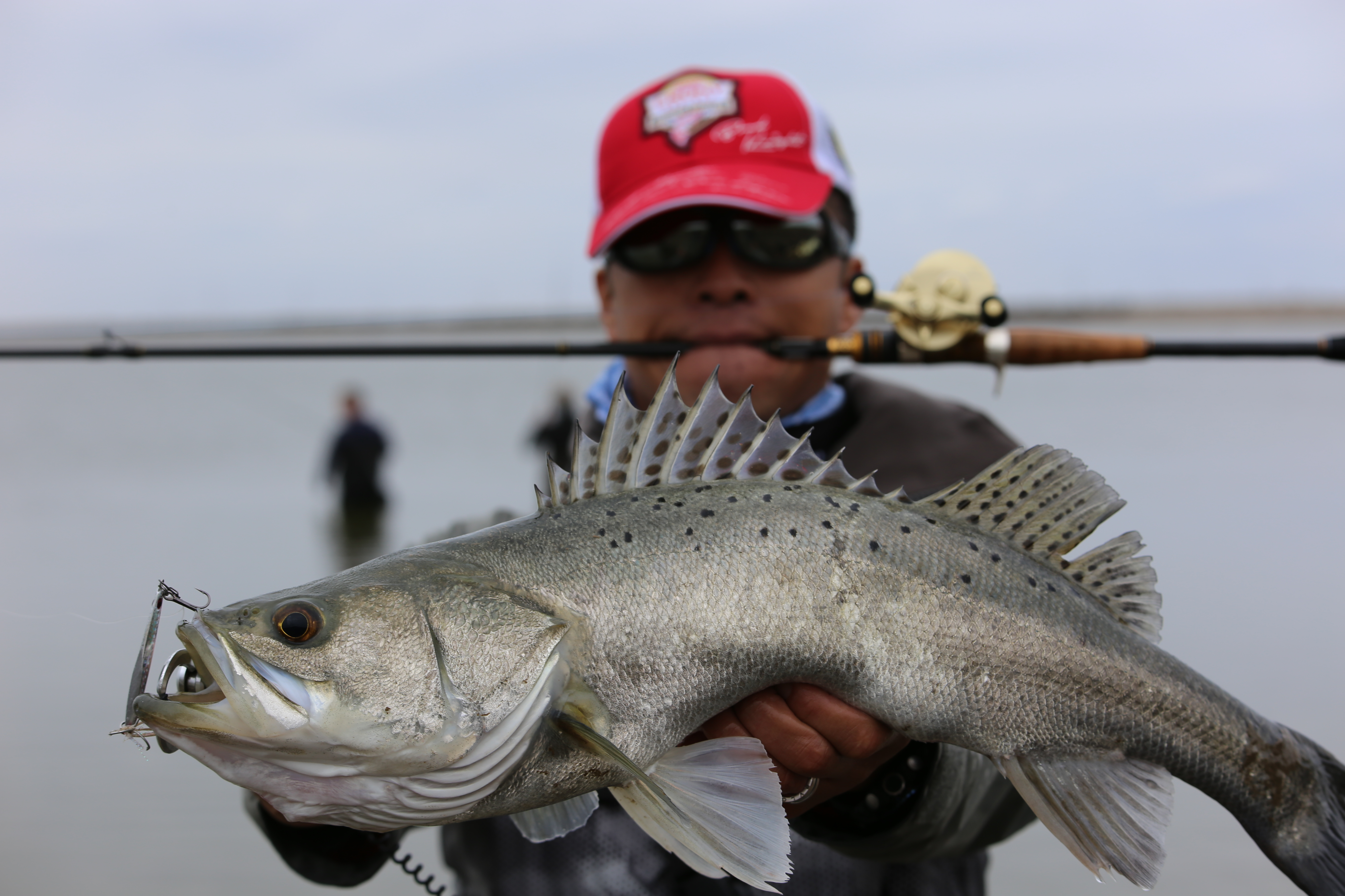 达瓦bassx路亚竿直柄枪柄远投竿,路亚竿新手推荐直柄还是枪柄
