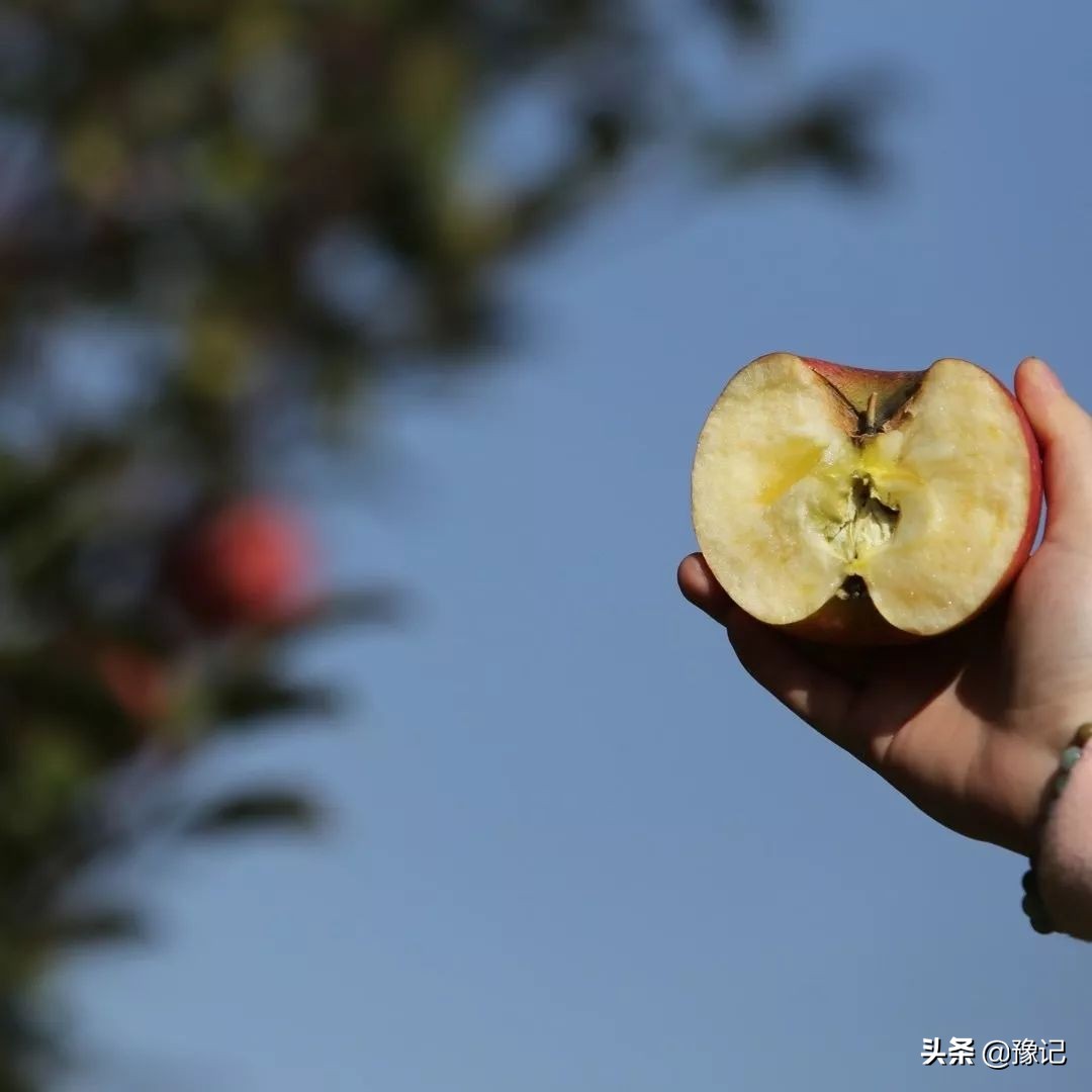 河南冬天的第一场大雪,2019的河南第一场雪