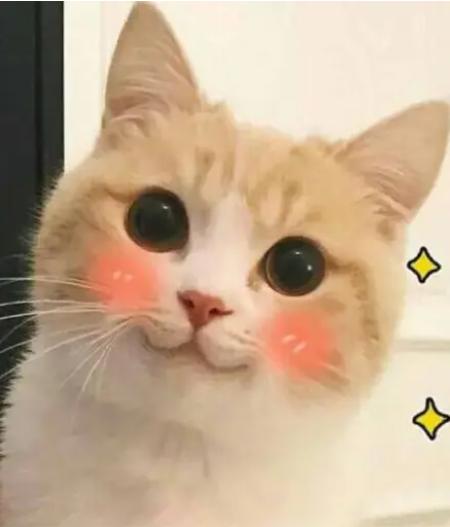 接受社会的毒打下一句,如何才能平静面对他人的恶意