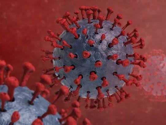 鑻卞浗棣栫浉杩涘叆icu浜嗗悧,鑻卞浗棣栫浉icu