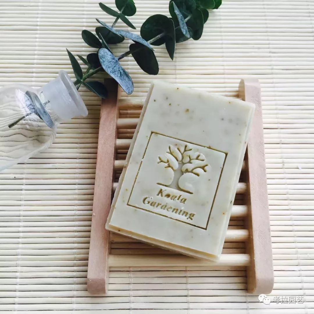 大地的恩赐图片,大地的馈赠是大天域吗