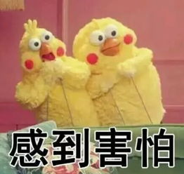 最长的路是套路下集,我们走过最长的路是爸妈的套路