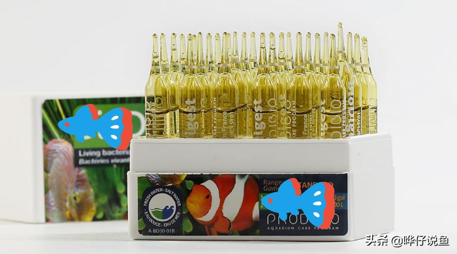 鱼缸里有鱼如何快速培养硝化细菌,鱼缸快速培养硝化细菌的条件