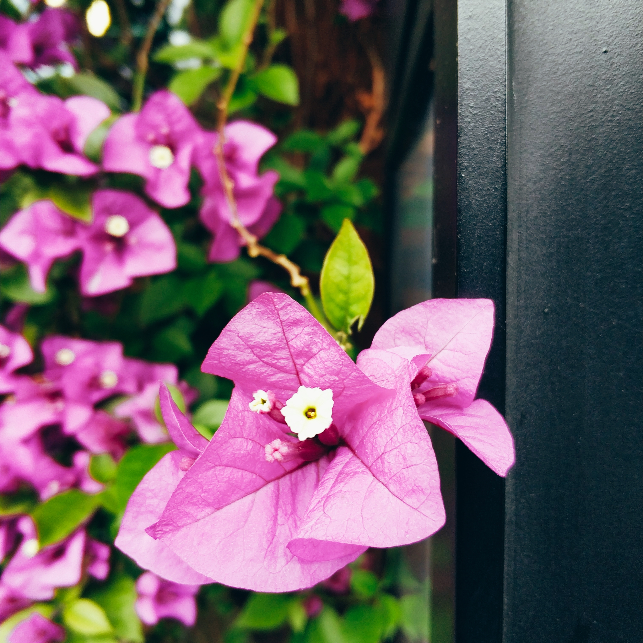 川藏线骑行从成都还是拉萨开始,318川藏线成都到拉萨骑行赛