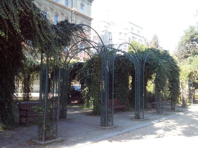 青岛皮尔森啤酒,雪津皮尔森啤酒