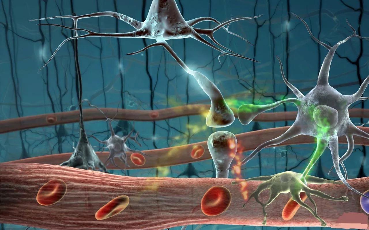 恶性黑色素瘤的靶向治疗进展,癌症基因治疗最新突破