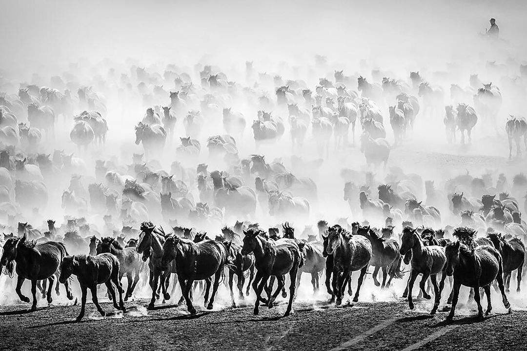 马球体现唐朝什么风格,唐代马球的兴盛表现在什么地方
