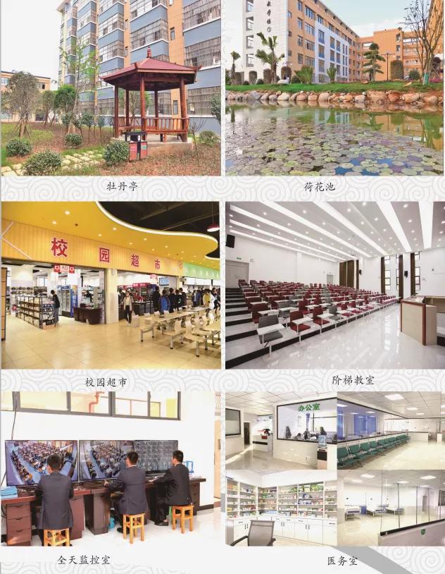 大手牵小手2014节目,大手牵小手cctv14多少期