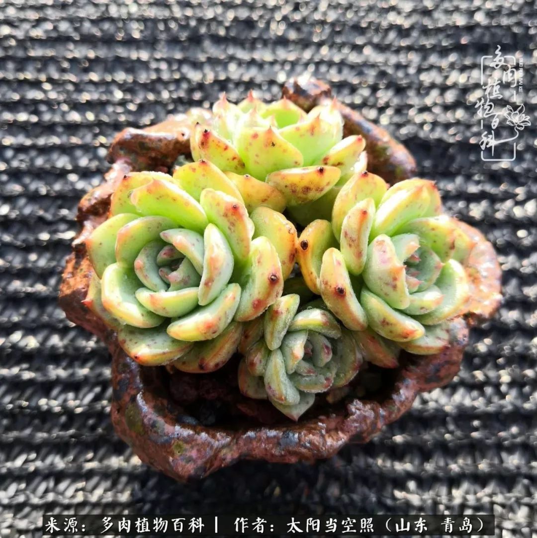 离家在外才发现最难忘的是故乡情,离家在外看见家乡的东西