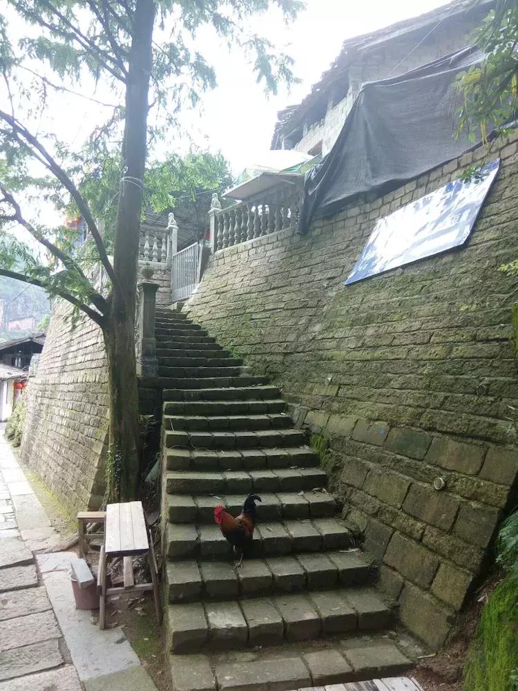 一个让人流连忘返的地方,山清水秀,只需要坐在河边发呆就行。