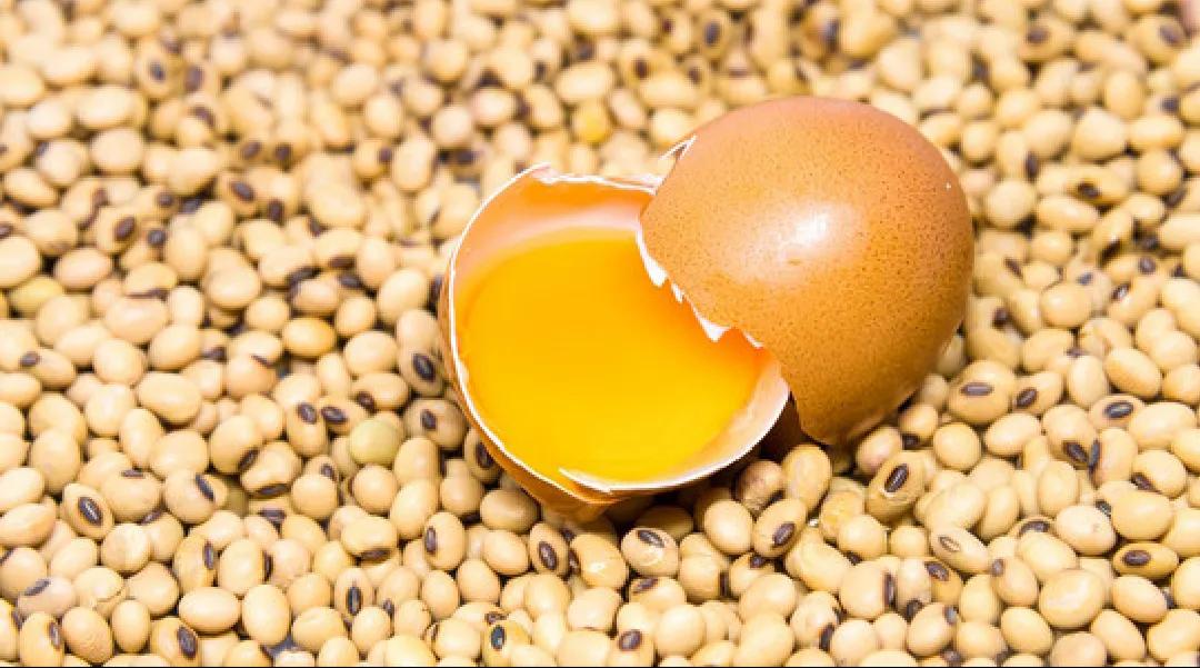 早上吃两个鸡蛋对人有什么好处,早上吃鸡蛋的误区