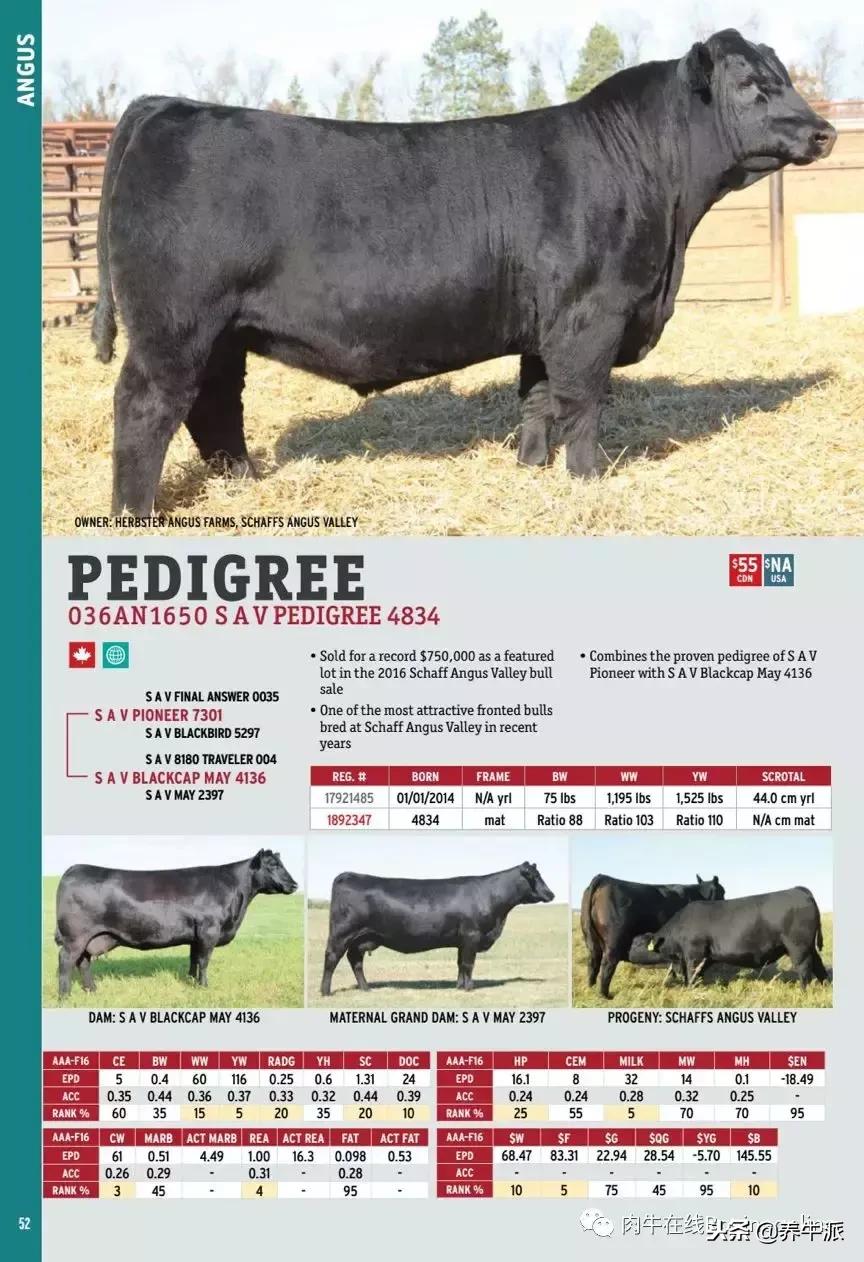 加拿大肉牛产业发展动态,加拿大肉牛发展