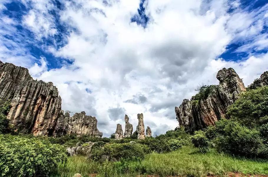 昆明石林景区值得去吗,昆明石林精华景点