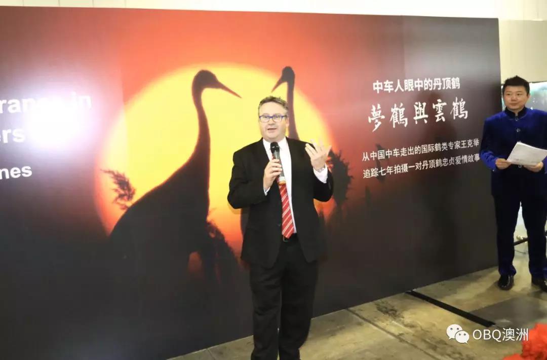 澳大利亚茶博会,国外茶博会开幕