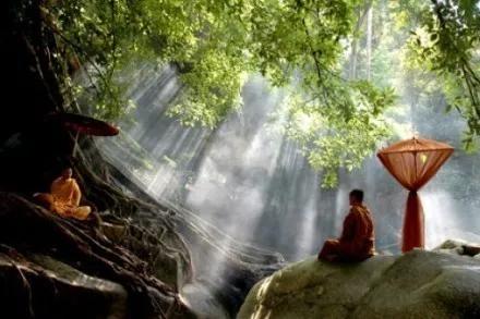 东野圭吾新参者语录,东野圭吾新参者讲了什么