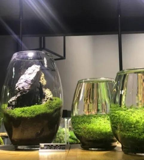 金沙天街打折活动,金沙天街高端餐饮