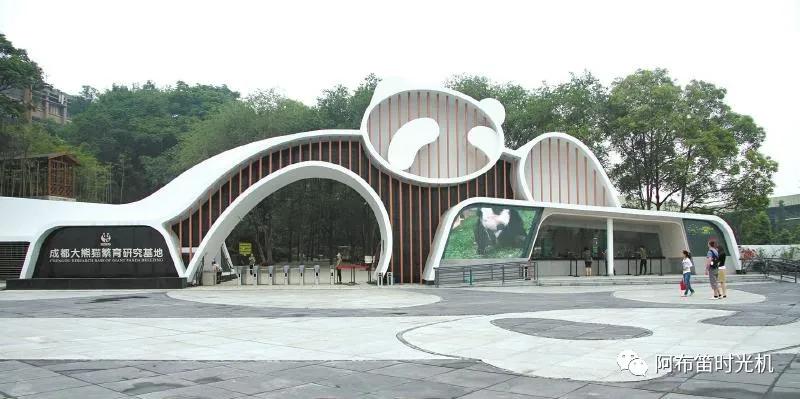 国内可以看熊猫吗,看熊猫要到哪里看