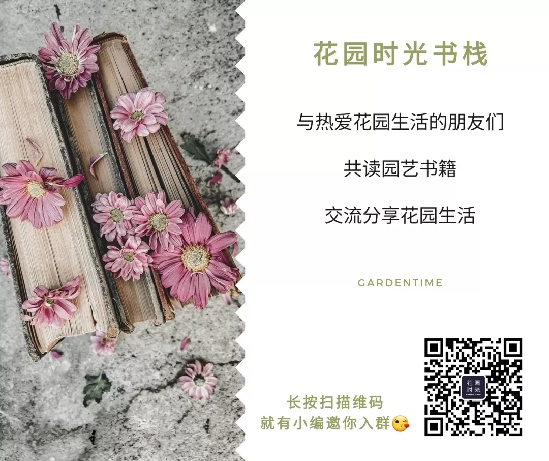 女王节，Prada鲜花让时尚破格融入日常