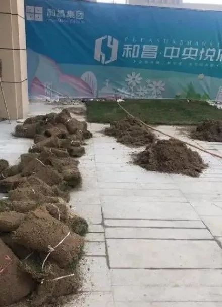 裸眼4D塑胶人工湖、水泥地上种草皮,开发商那些骚断腰的迷惑行为