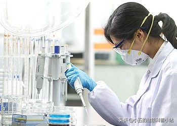 探索银花泌炎灵片的抗炎之旅,银花泌炎灵片治愈效果