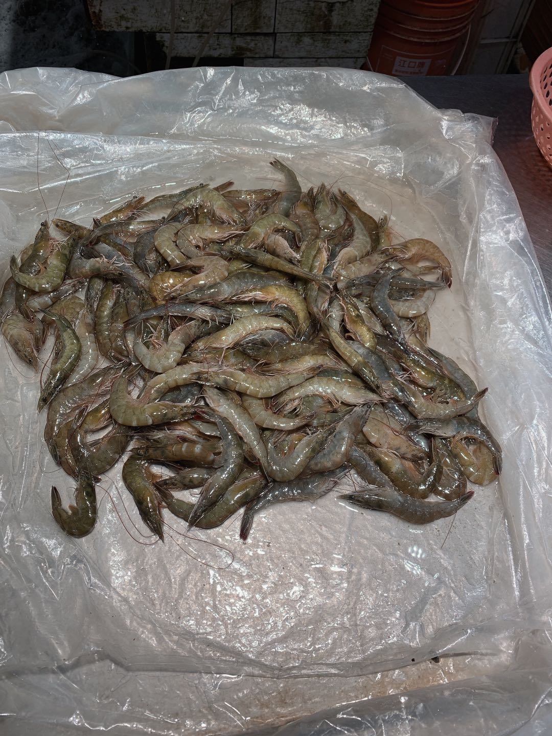 去北海在哪里买海鲜比较划算,北海的海鲜便宜还是防城港的便宜