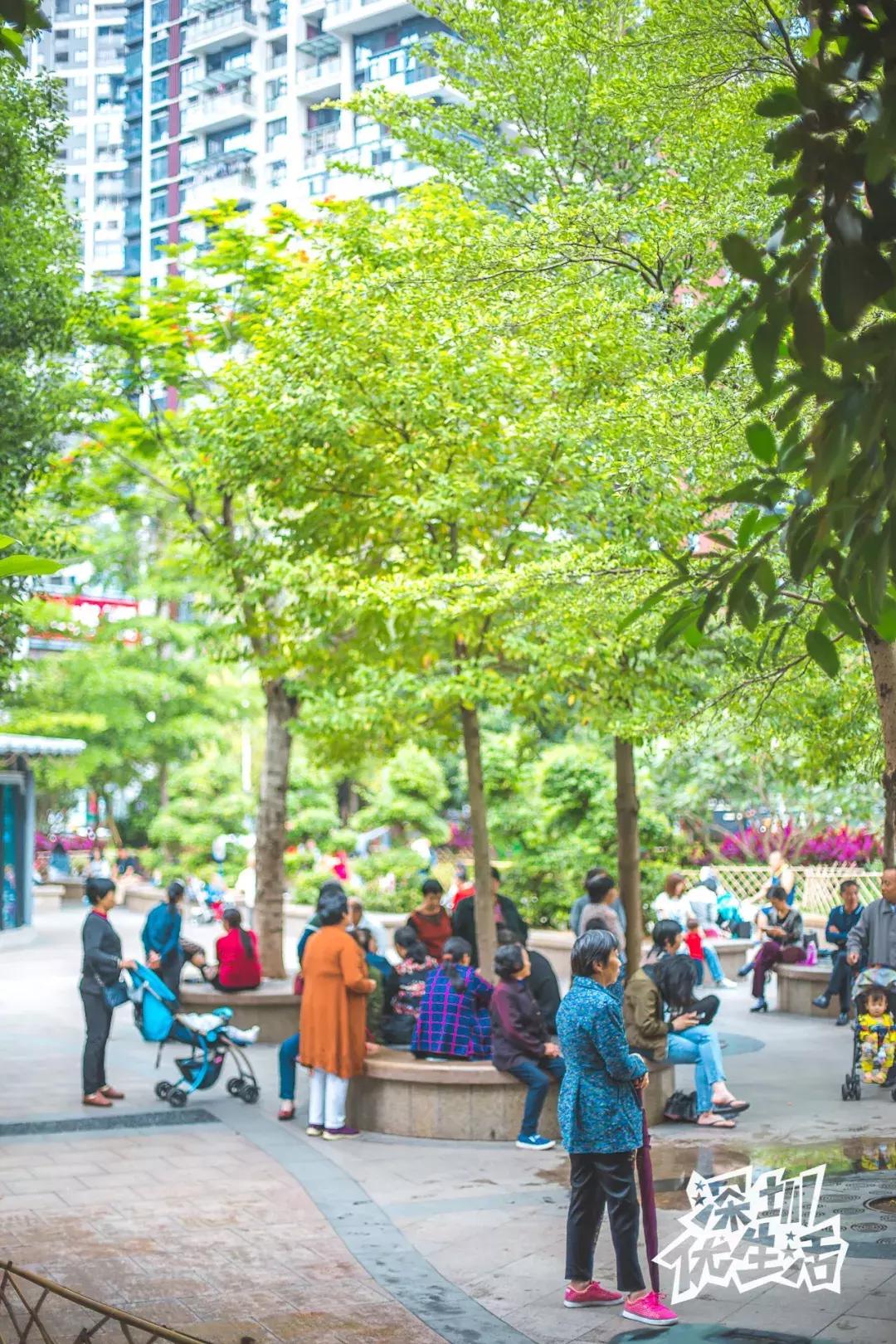 龙华最漂亮的城中村,龙华最破的城中村