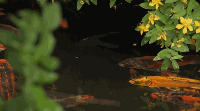 6亩8个卧室,上千万园林,200吨红木,1.6亿江南大户竟是这样的?