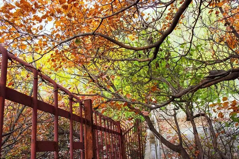 昌平自驾游京郊最佳好去处,北京昌平区冬季旅游