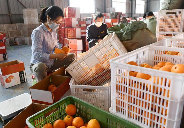 湖北信达集团,湖北信诚建设工程有限公司