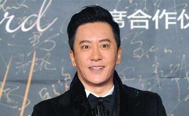 被捅三刀的明星,毛宁回应丑闻事件