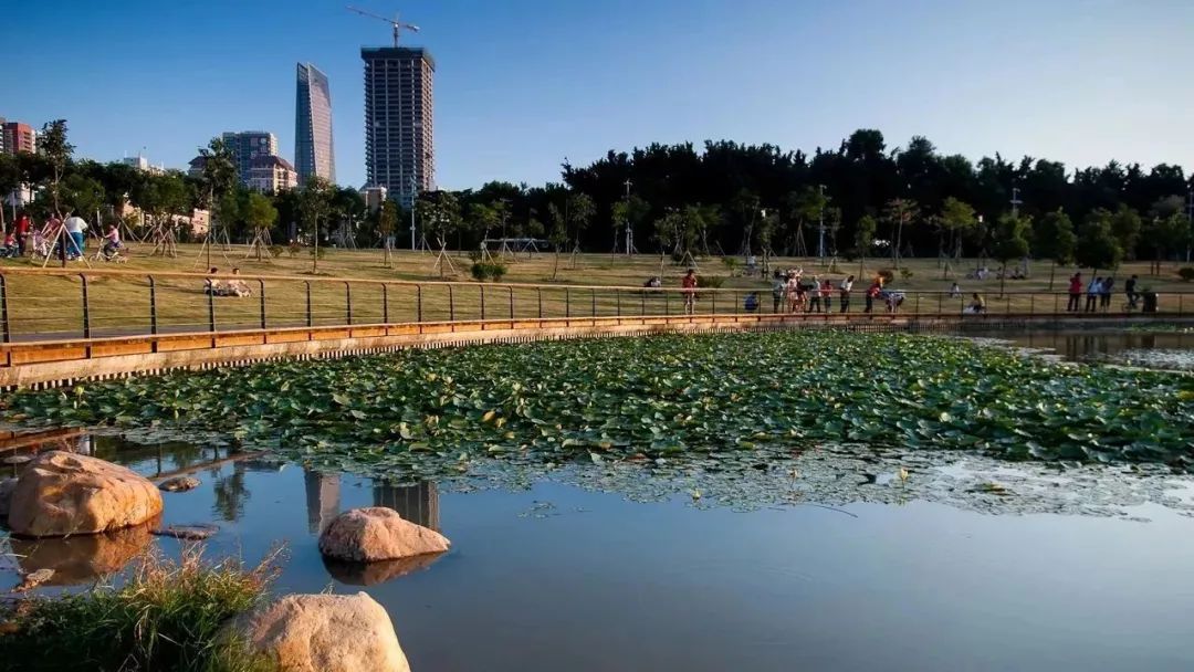 深圳免门票景点推荐,深圳市内近20个景点一票通玩