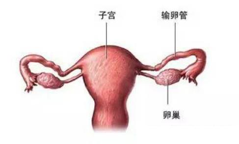 大妈跳广场舞掉水里,女子跳广场舞感觉体内有东西掉落
