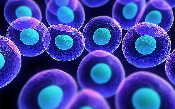 人触电后被吸住的原理,人触电形成回路的原理