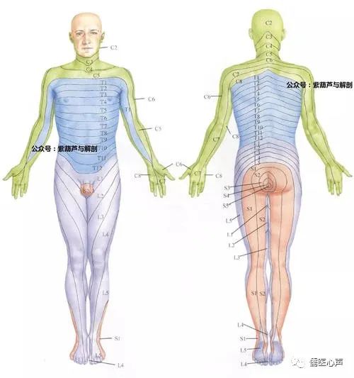 整个肚子痛查不出原因有什么方法,肚子痛一直找不到原因治不好