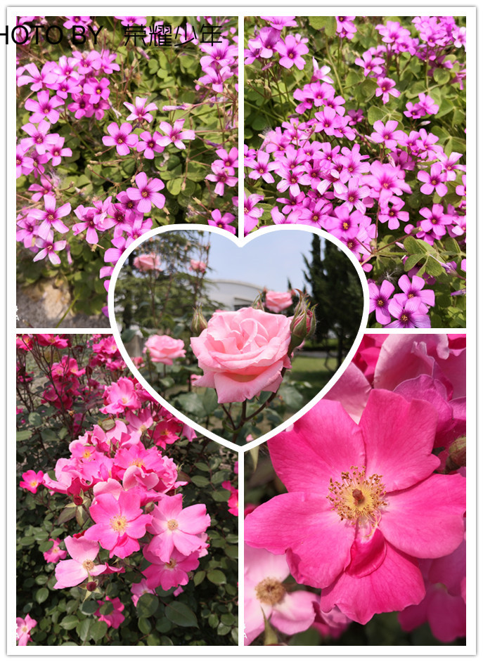 华为nova4测评王者荣耀,华为nova4测评玩游戏