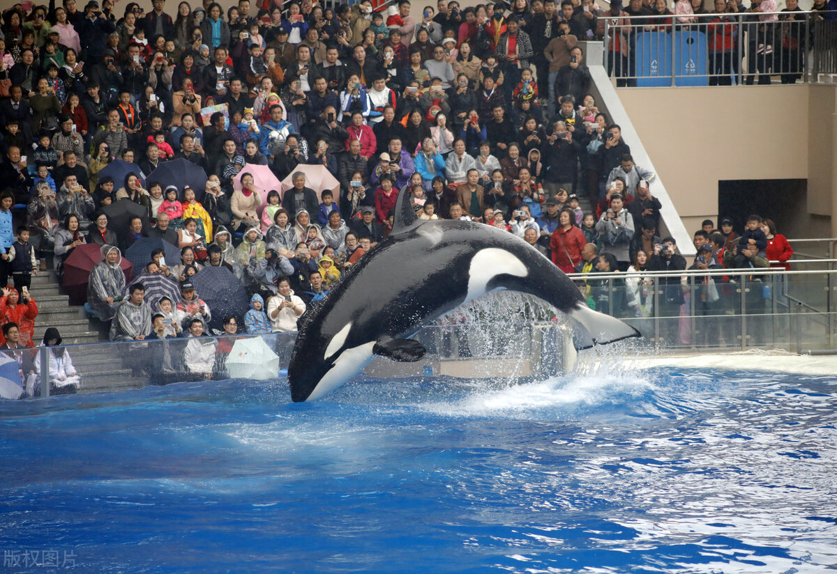 上海春节亲子游好地方推荐,上海自然博物馆亲子游攻略