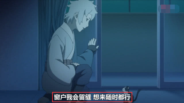 巳月养猫日常,巳月养的猫