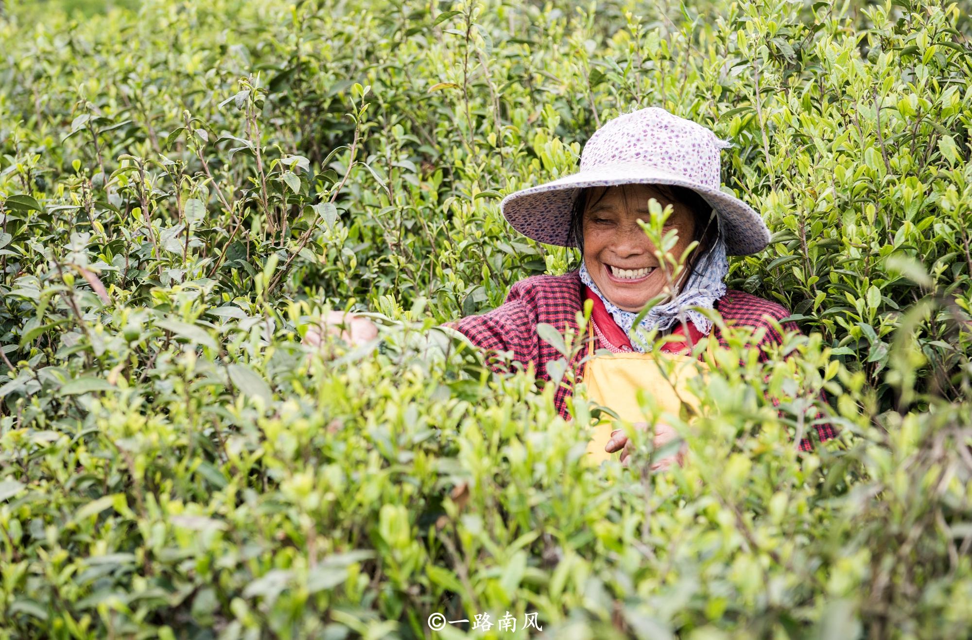 旅游来到黔东南,贵州黔南游记