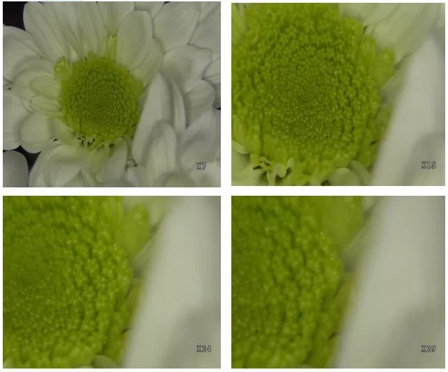 “小手”拉“大手”！顺德宫颈疾病防治再上新台阶