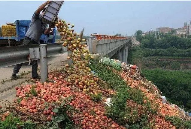 采购过程中以次充好弄虚作假,农户掺假怎么处理