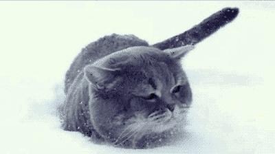 漂亮又暖的过冬单品是真的吗,最好看的过冬单品