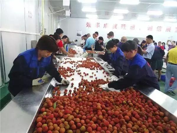 顺丰布局详细讲解,顺丰运营模式及其特点