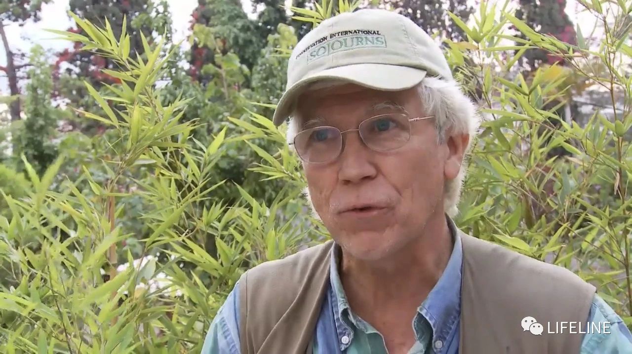 龟中“考拉”，请别让我们的孩子在博物馆见到它们...