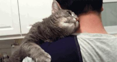 氛围感治愈温柔猫咪图片2张,带有人物与猫咪的温馨治愈图